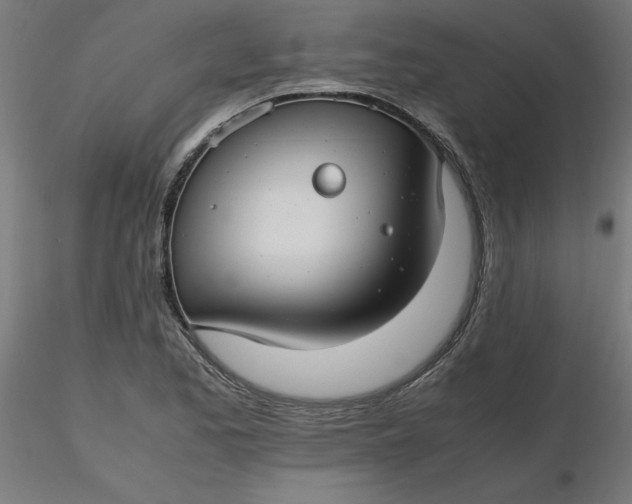 X0000116661173200912291631