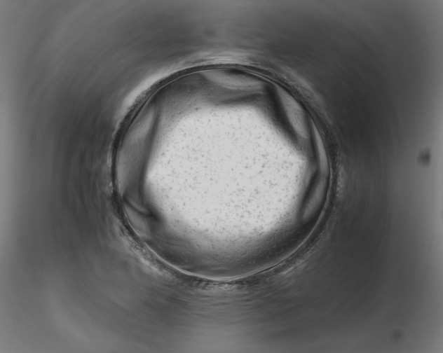 X0000116661174200912291631