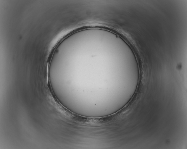 X0000116661175200912291631