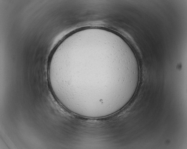 X0000116661176200912291631