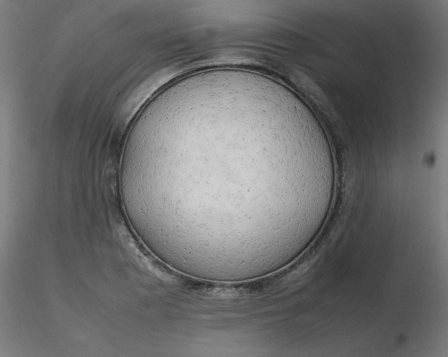 X0000116661177200912291631