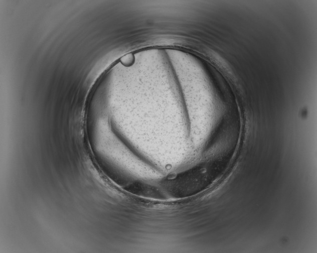 X0000116661178200912291631