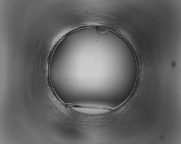 X0000116661179200912291631