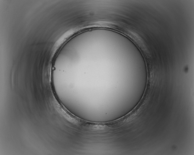 X0000116661180200912291631