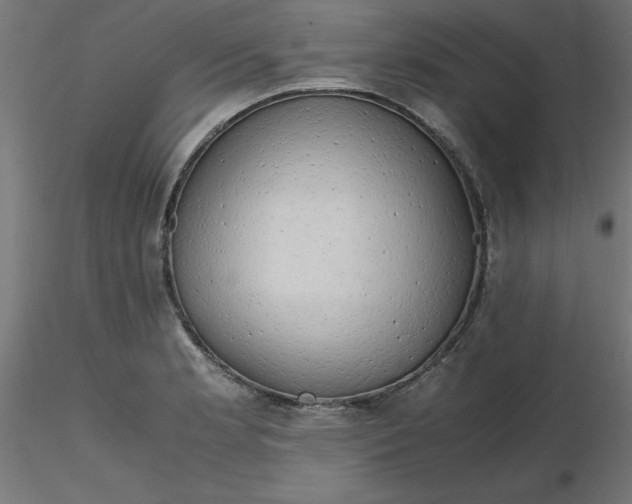 X0000116661181200912291631