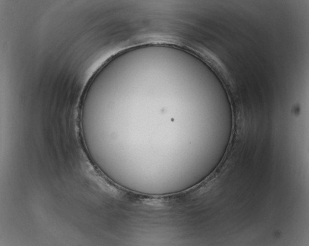 X0000116661182200912291631