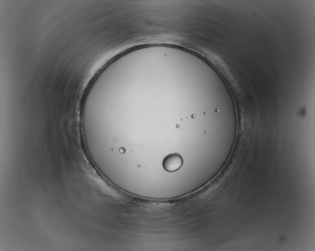 X0000116661184200912291631