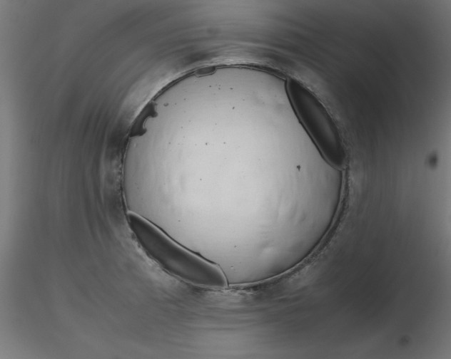 X0000116661185200912291631