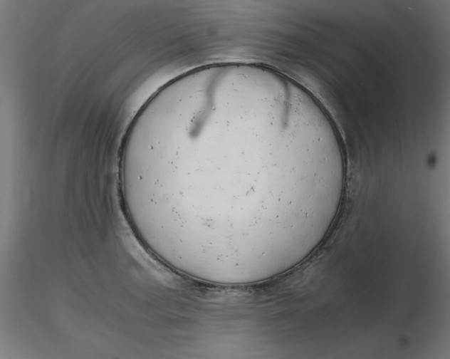 X0000116661187200912291631