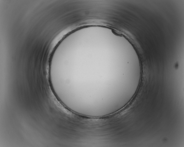 X0000116661188200912291631