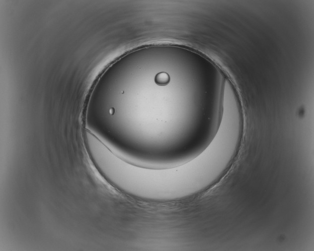 X0000116661189200912291631