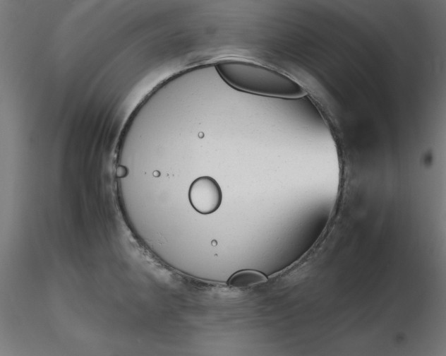 X0000116661190200912291631