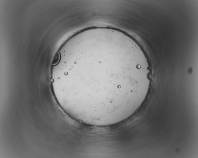 X0000116661191200912291631