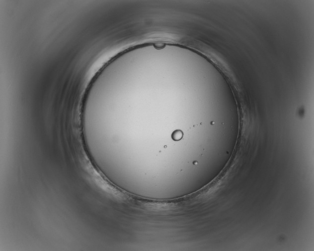 X0000116661192200912291631