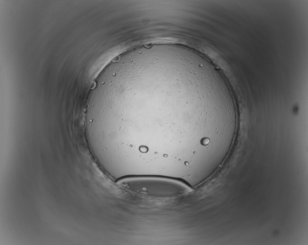 X0000116661193200912291631