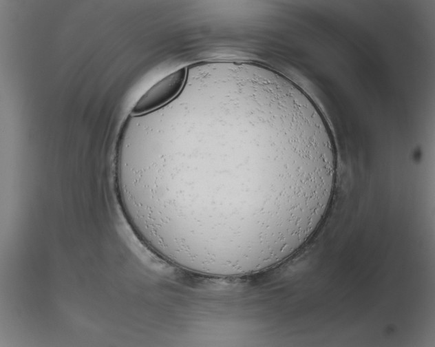 X0000116661195200912291631