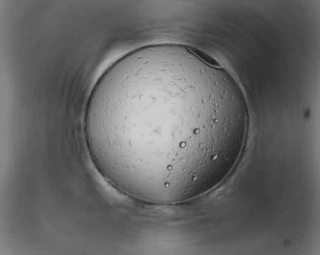 X0000116661197200912291631