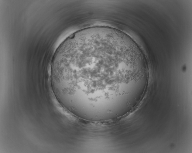 X0000116661198200912291631