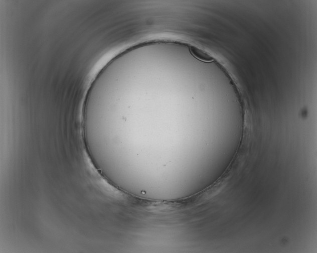 X0000116661199200912291631