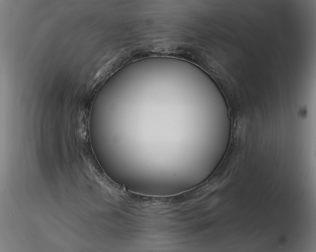 X0000116661202200912291630