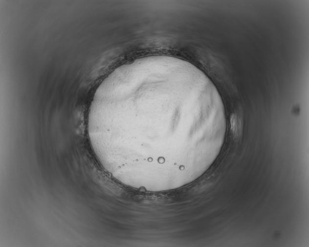 X0000116661203200912291630