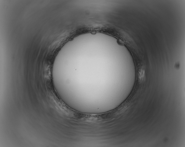 X0000116661204200912291630