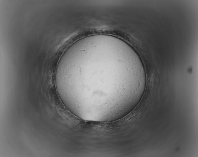 X0000116661205200912291630