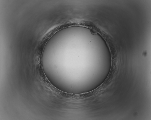 X0000116661206200912291630