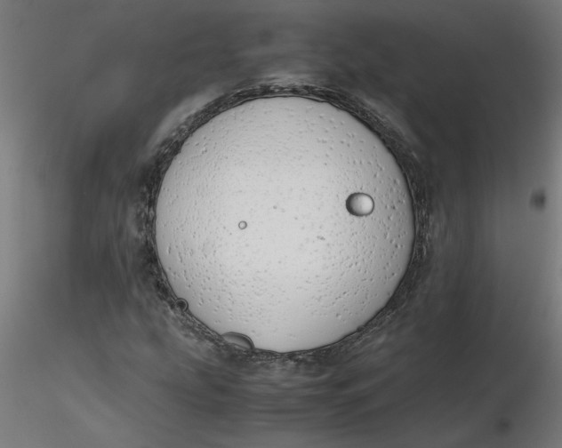 X0000116661207200912291630