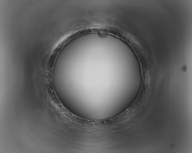 X0000116661208200912291630