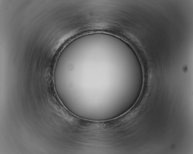 X0000116661210200912291630