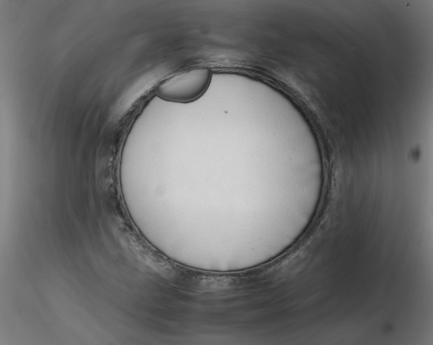 X0000116661211200912291630