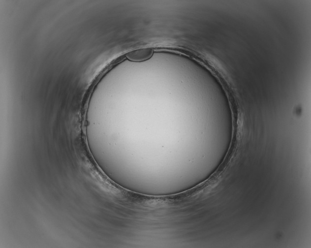 X0000116661212200912291630