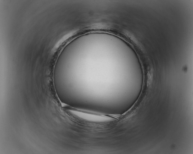 X0000116661213200912291630