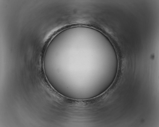 X0000116661214200912291630