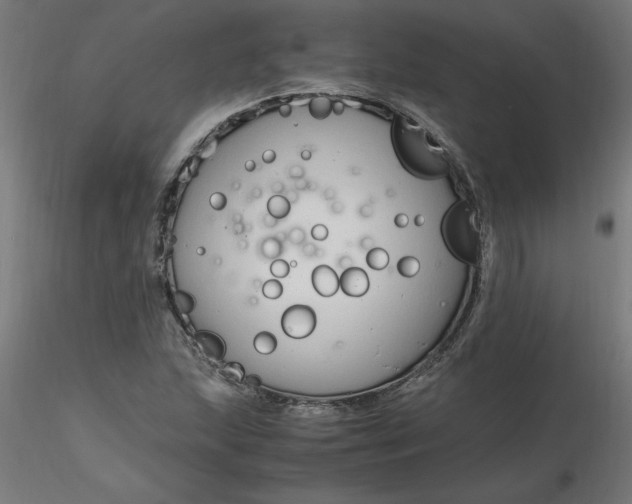 X0000116661215200912291630