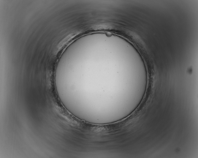 X0000116661217200912291630