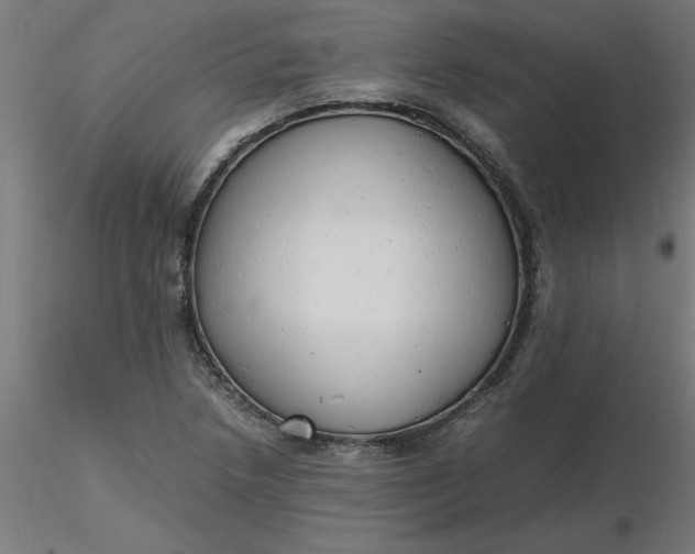 X0000116661218200912291630