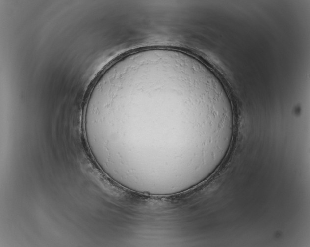 X0000116661220200912291630