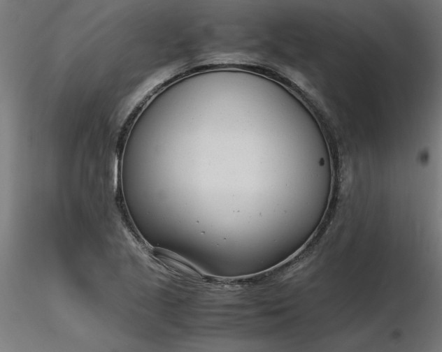 X0000116661221200912291630