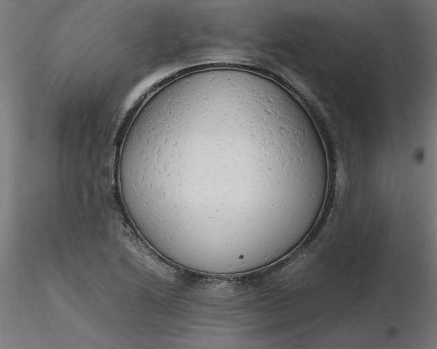 X0000116661222200912291630