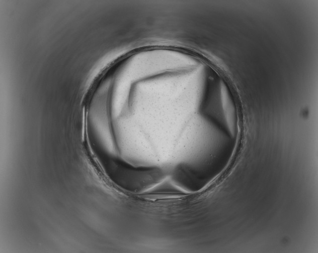 X0000116661223200912291630