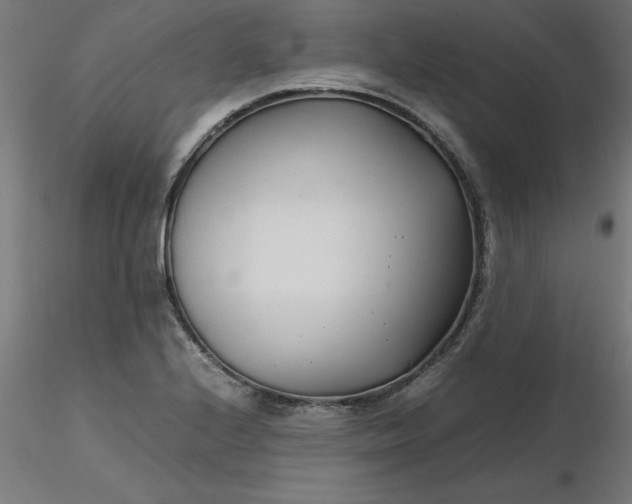 X0000116661224200912291630