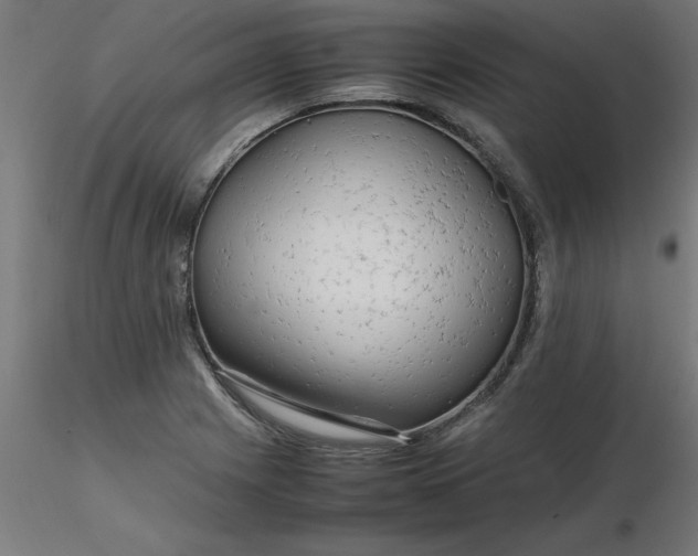 X0000116661225200912291630