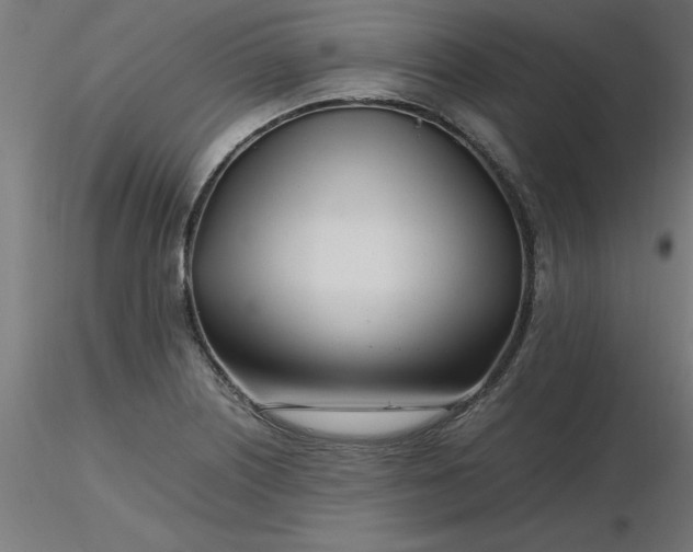 X0000116661226200912291630