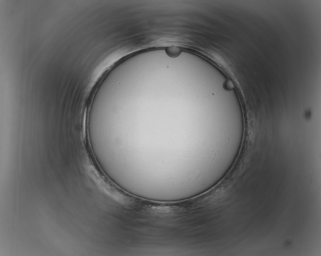 X0000116661227200912291630