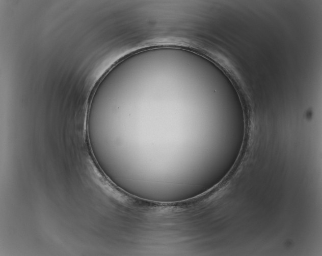 X0000116661228200912291630