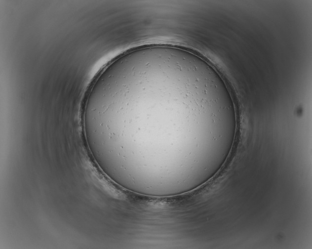 X0000116661230200912291630