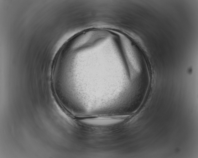 X0000116661231200912291630