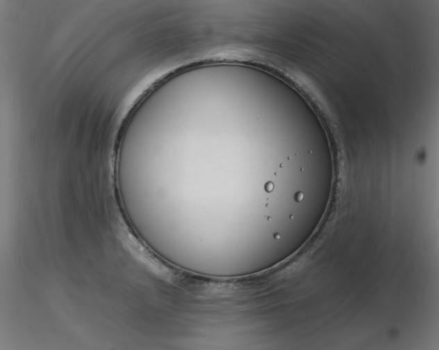 X0000116661232200912291630